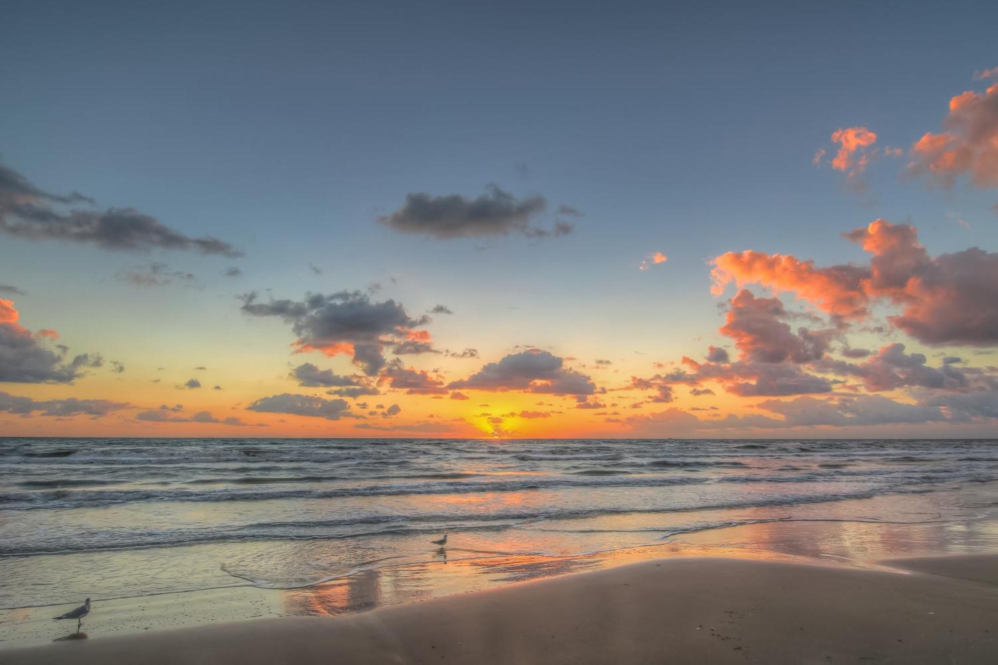 Surfside Condos South Padre Island Rom bilde